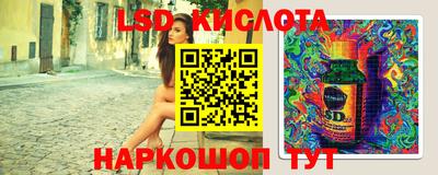 спайс Аргун