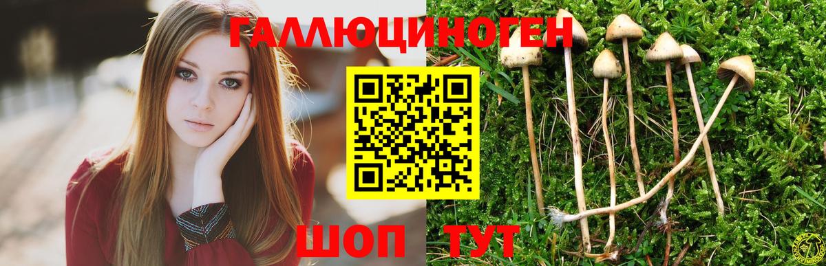 Беслан  Псилоцибиновые грибы мицелий  Вход с VPN 