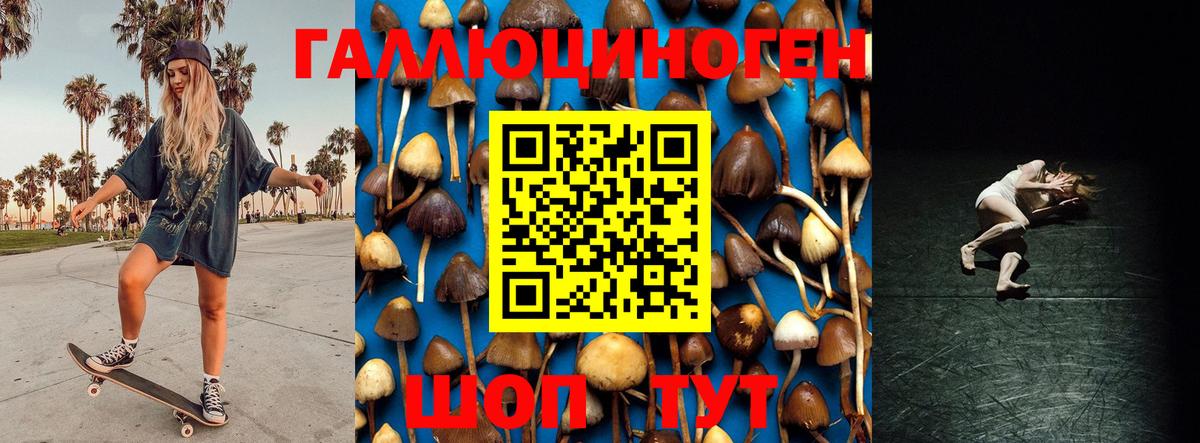 Псилоцибиновые грибы мицелий Беслан